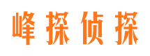 槐荫市婚外情调查